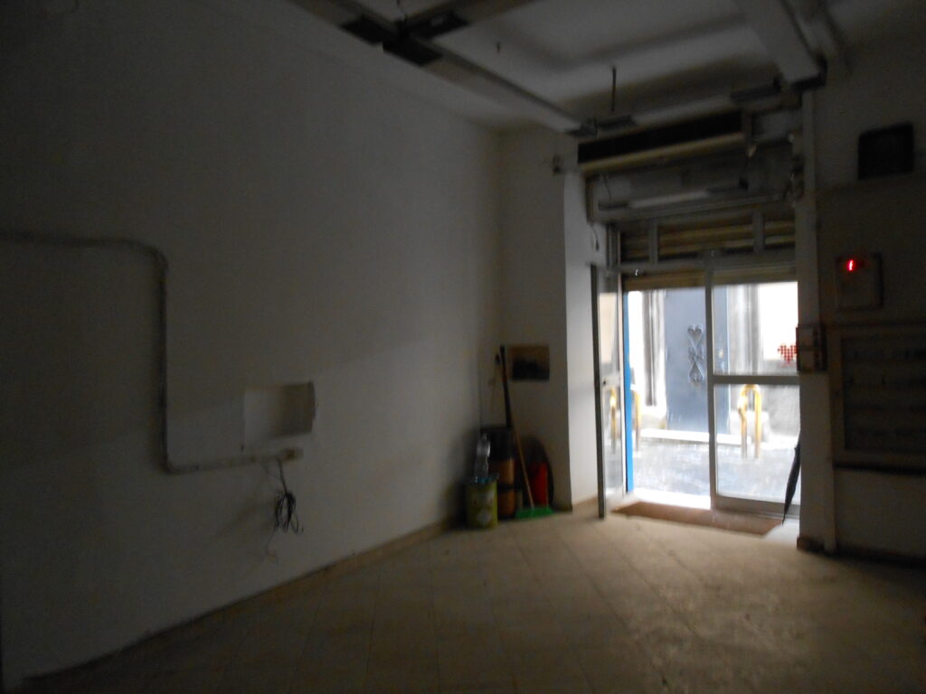 DSCN6301